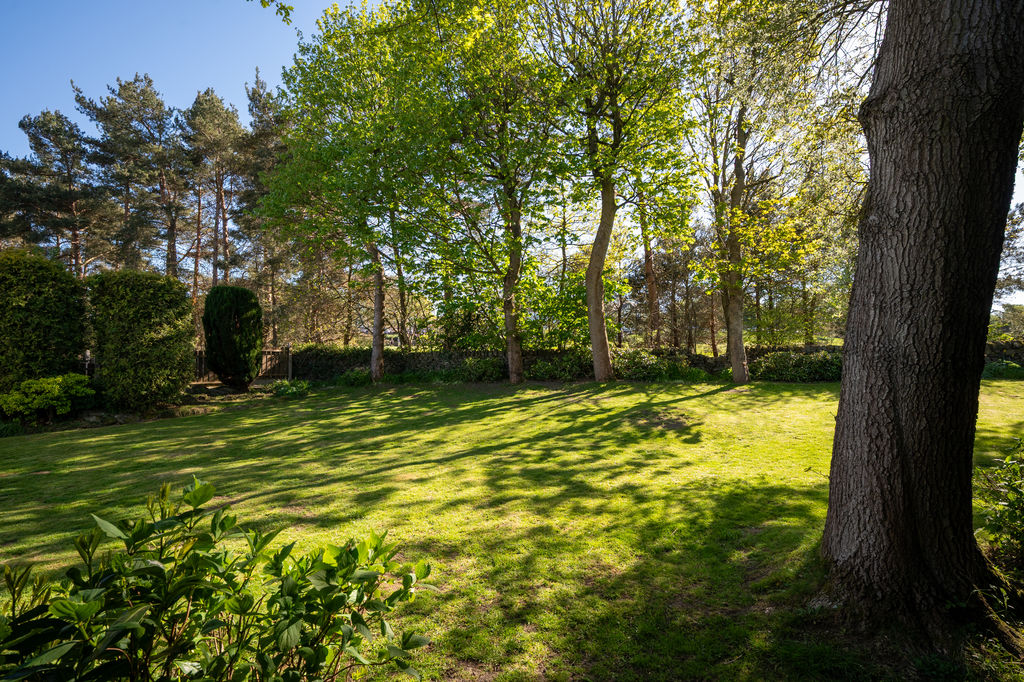Stonewood Grove Sandygate